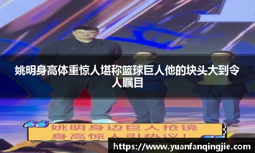 姚明身高体重惊人堪称篮球巨人他的块头大到令人瞩目