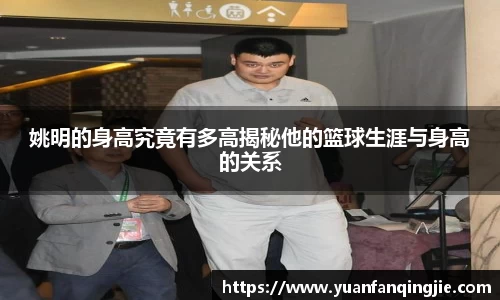 姚明的身高究竟有多高揭秘他的篮球生涯与身高的关系